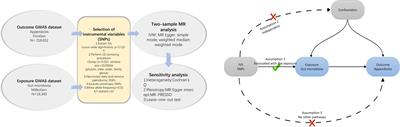 Causal effects of gut microbiota on appendicitis: a two-sample Mendelian randomization study